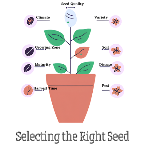 Selecting The Right Seed img Seedfertilize