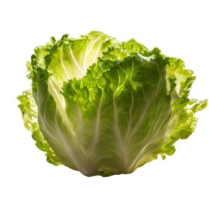 iceberg seedfertilize