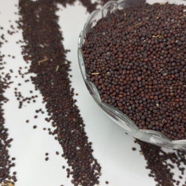 mustard seed 1 seedfertilize