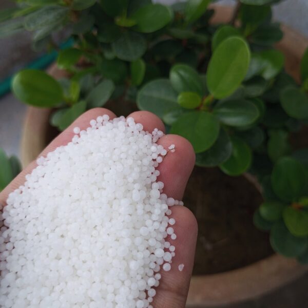 urea seedfertilize